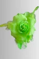 Floare cu Pene si Perle, cu Prindere in Ac, Spring Foggi