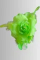 Floare cu Pene , cu Prindere in Ac, Spring Foggi
