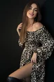 Rochie de Dama Tip Camasa Lunga, cu Nasturi, Stransa in Siret pe Bust, cu Print Leopard, Foggi