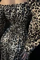 Rochie de Dama Tip Camasa Lunga, cu Nasturi, Stransa in Siret pe Bust, cu Print Leopard, Foggi