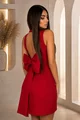 Rochie de Dama, Tip Sacou, din Bistrech, Accesorizata cu Funda la Spate, Anyola, Rosie
