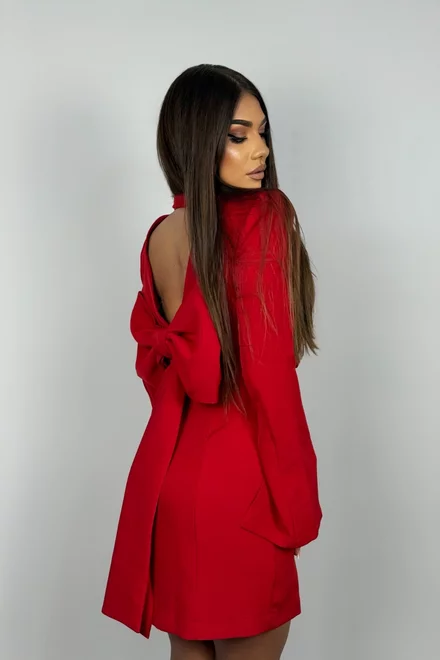 Rochie Tip Sacou, cu Inchidere Nasturi si Funda Maxi la Spate, Rubiella, Rosie