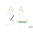 Inel Martisor Aur1