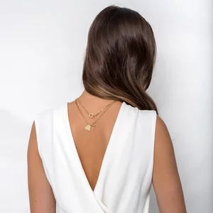 Lantisor argint Hardwear