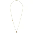 Lantisor Aur dama,1