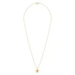 Lantisor Aur dama,1