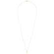 Lantisor fir1