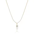 Lantisor Dama Aur1