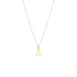 Lantisor fir1