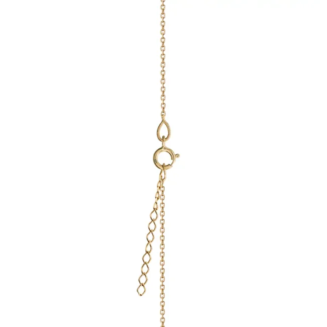 Lantisor Aur 14K Premium, dama, lantisor trecut prin banut mediu 15 mm, personalizat cu poza picture - 4