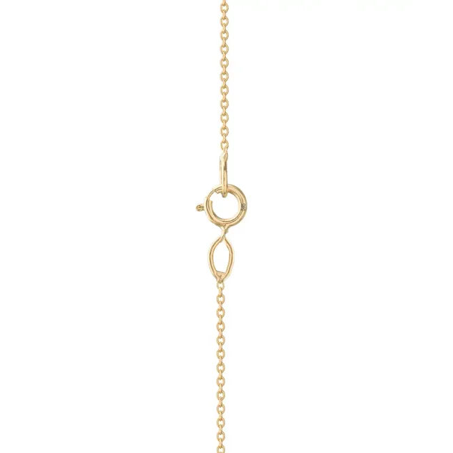Lantisor Aur 14K Premium cu nume picture - 4