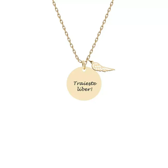 Lantisor Aur dama, aripa si banut 12 mm, personalizat